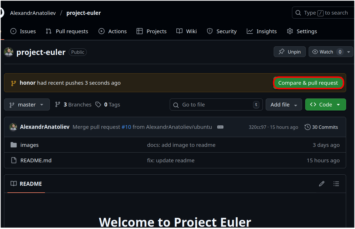 Compare & pull request button