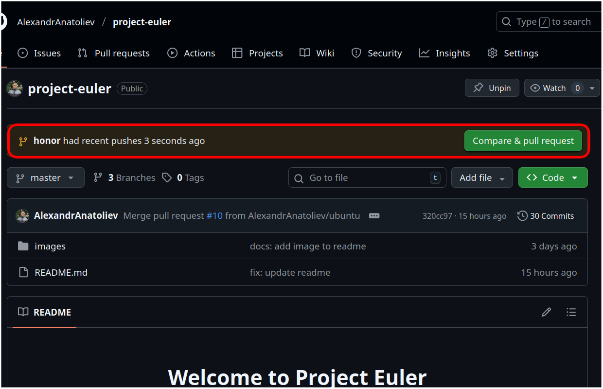 Compare & pull request button